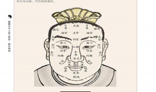 八字纹面相详解 一起来了解