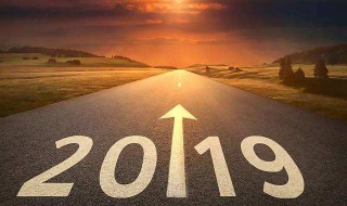 二0一九是什么年 春节是什么