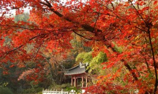 佛山适合一日游的地方 最适合一日游的地方