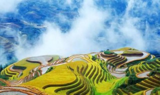 桂林站到龙脊梯田怎么坐车 桂林站怎么坐车到龙脊梯田