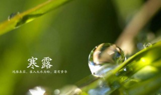 寒露钓鱼最佳时间 寒露钓鲫鱼的经验分享