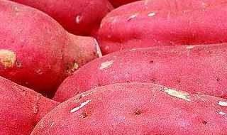 红薯的新吃法 酸酸甜甜更好吃