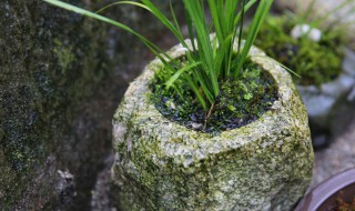 石盆制作方法 天然石头花盆制作过程