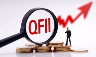 qfii持股从哪里可以查询 在哪里可以查询qfii持股