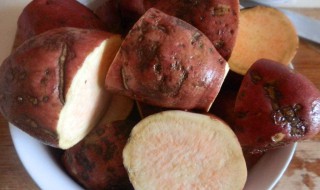 蒸白薯要多长时间 好吃的白薯你吃过吗