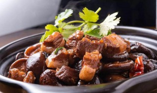 猪肉炖什么菜好吃 猪肉炖怎么菜好吃