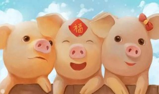 猪宝宝取名禁忌 了解清楚