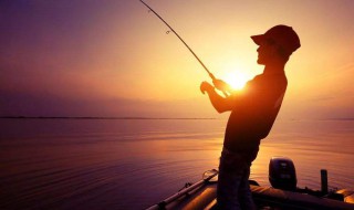 钓鲤鱼钓边还是钓里 有三个原则