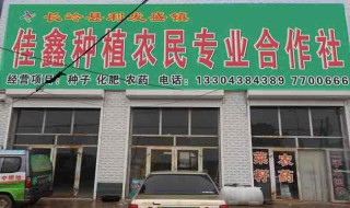 农民专业合作社工作工伤怎么办 能不能享受工伤保险