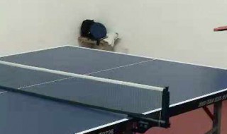 撗拍乒乓球打法 乒乓球的打法