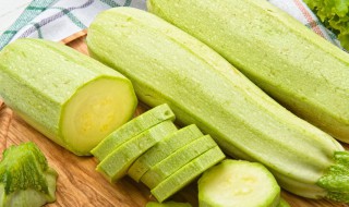 西葫芦种技术 西葫芦的种植技术与管理