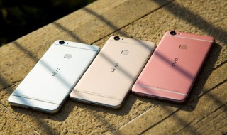 vivo钱包在哪里 你都知道吗