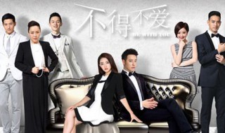 不得不爱 大结局 胡林二人关系紧张 姚氏面临危机