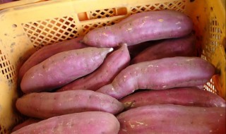 优红薯怎么放不烂 你试过那种放法