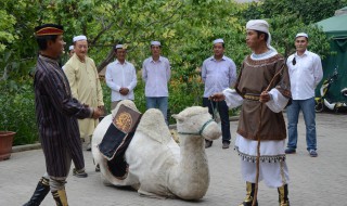 撒拉族的来源 看完这个你一定会很震撼