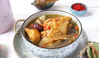 黄芪鸽子汤的做法 这样做会更好喝