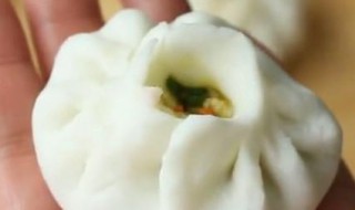 不发面的包子的做法 皮薄馅大1次就成功