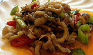 鲨鱼肚的做法 请看做法