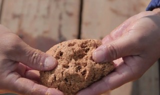 初秋老三样饵料比例 实用的钓鱼配方