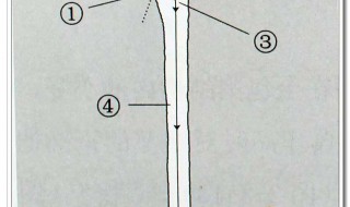 悬针破印有什么说法 悬针纹是怎么样的
