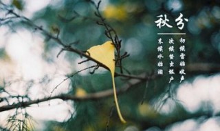 立秋和秋分的区别 谁知道