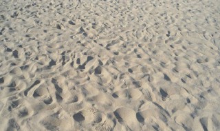 沙芯疏松咋回事 源于哪里