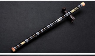 d调笛子演奏技巧 方法说明