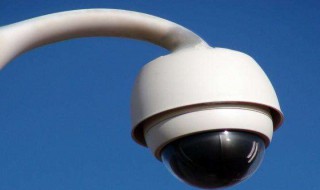 电子违章多久能查出来 网上能查吗