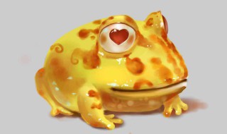 梦见金蟾 你知道预示着什么吗