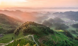 蔡和森是怎样牺性的 大家要牢记历史