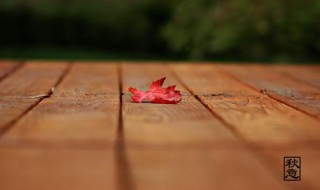 一叶知秋下一句是什么 一叶知秋的下一句话是什么