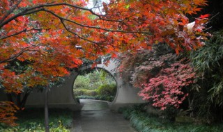 成都周边红叶的旅游景点 赶紧收藏