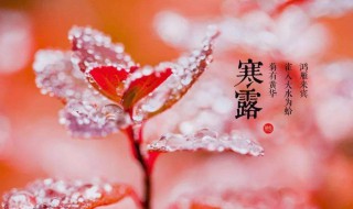 寒露节气祝福语 2019寒露节气祝福语分享