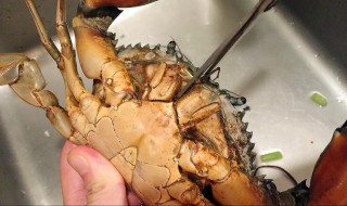 大甲蟹怎么清洗 大甲蟹如何清洗