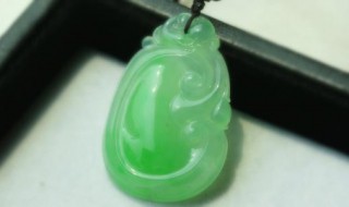 芙蓉种翡翠有什么特点 外行看色内行看种