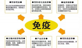 免疫力过强是怎么形成的 人体自身的防御机制