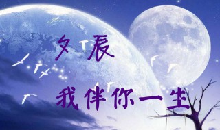 我盼望早一天见到你是什么歌 我盼望早一天见到你歌曲歌词