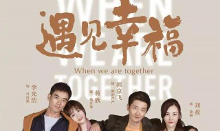 电视剧遇见幸福结局 每个角色最终的结局