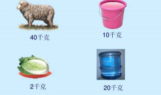 公斤和千克怎么换算 你学会了吗