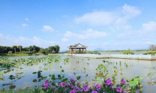 广东东莞有哪些湖 松山湖简介