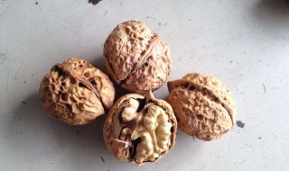 从承德到辽宁阜新快递二十斤核桃要多少费用 生活百科