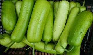 瓠子怎么晒干 瓠子干制作方法