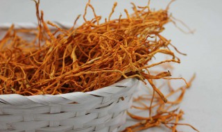 金虫草什么人不能吃 你知吗