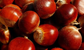 糖炒票子的做法 食神教你做美味