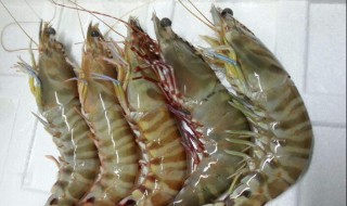 买虾有什么技巧 主妇必备技能分享