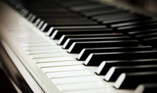 钢琴左手和弦万能公式 一起来学习