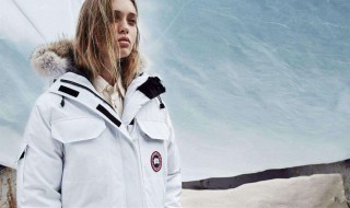 加拿大鹅黑标红标区别 加拿大鹅贵的原因