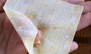 混沌皮可以做什么 为你介绍三种做法