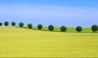 健康产业个人如何创业 例如什么行业