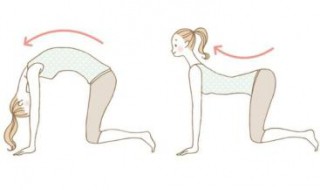 猫式减肥法 具体步骤怎么做